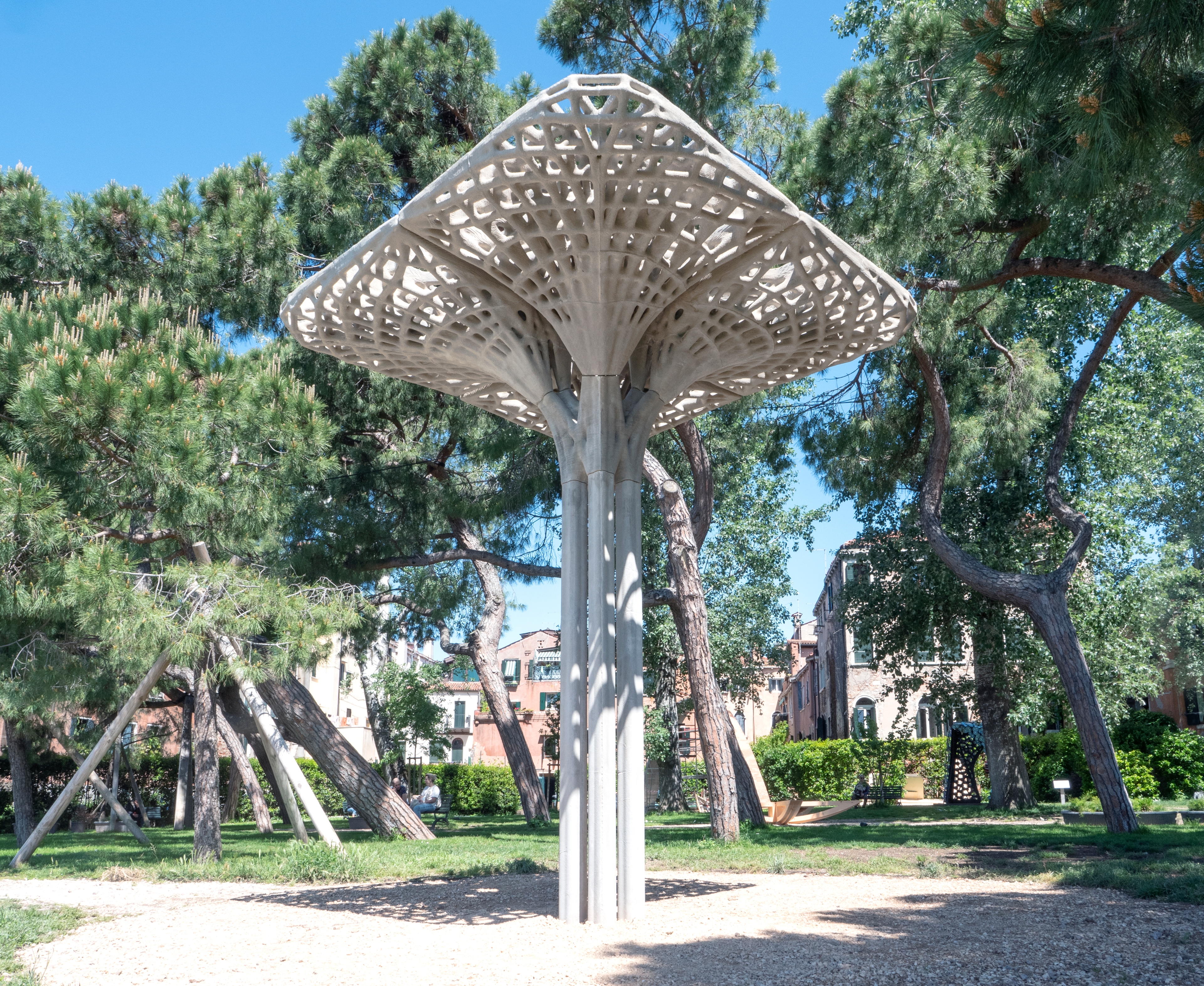 09_Marinaressa_Coral_Tree_Kovaleva
